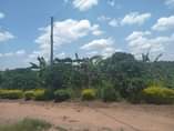A picture of 7 ACRES OF LAND 0758873724