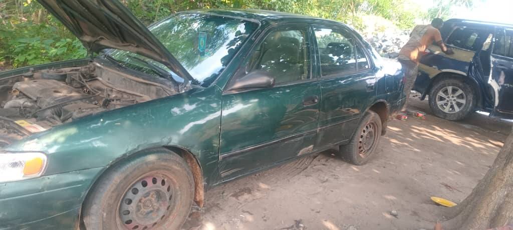 A picture of Corolla okerejuowoelo