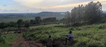 A picture of 40 DECIMALS OF LAND ON SALE SSISA 7KMS FROM MAIN