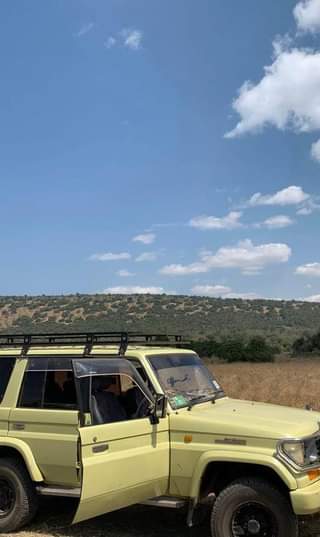 A picture of Diesel Land Cruiser for sale at just 22m UGSh