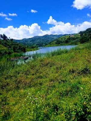 A picture of LAND FOR SALE