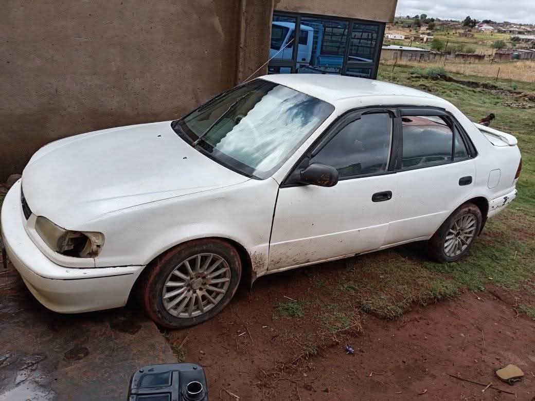 used toyota corolla
