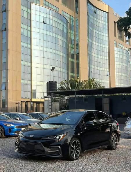 A picture of Toyota Corolla SE
