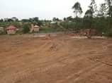 A picture of Get your own plot today Quick sale Plots on sale