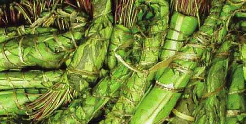 A picture of Miraa for sale