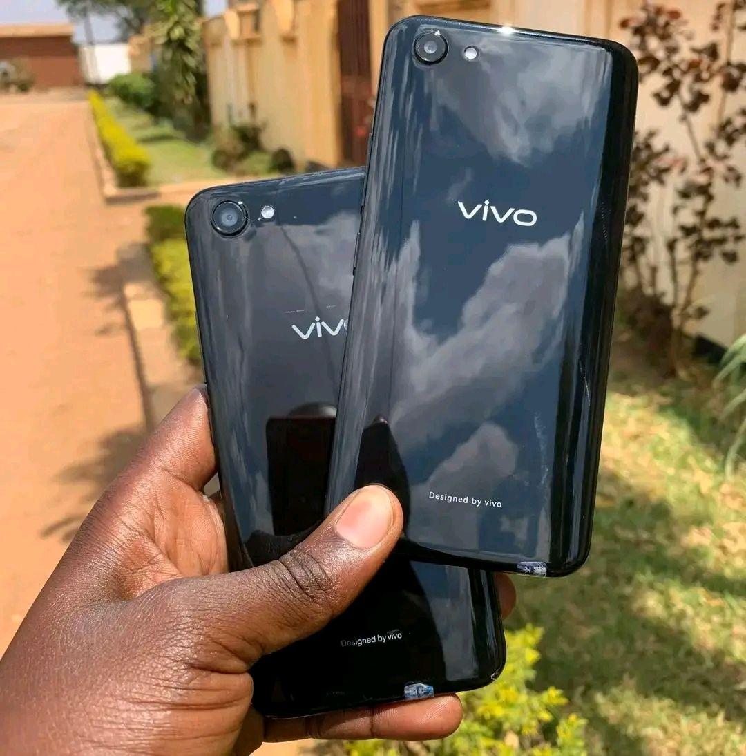 vivo