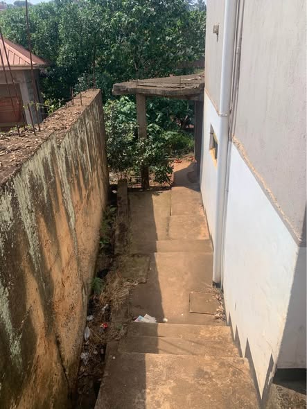 A picture of Single room for rent in Ntinda