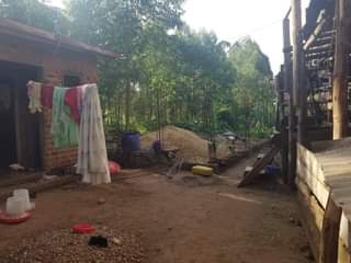 A picture of Land