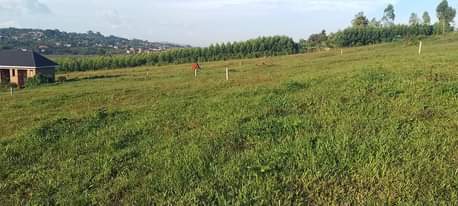 A picture of NEW NAMUSERA NSENKWA ESTATE UGX40m 50x100 Ready MAILO LAND TITLES