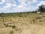 A picture of Viwanja vinauzwa chanika mvuti laki 7