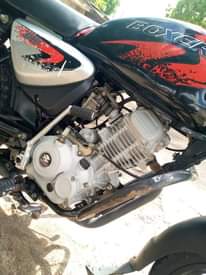 A picture of Boxer 125 domo kaya