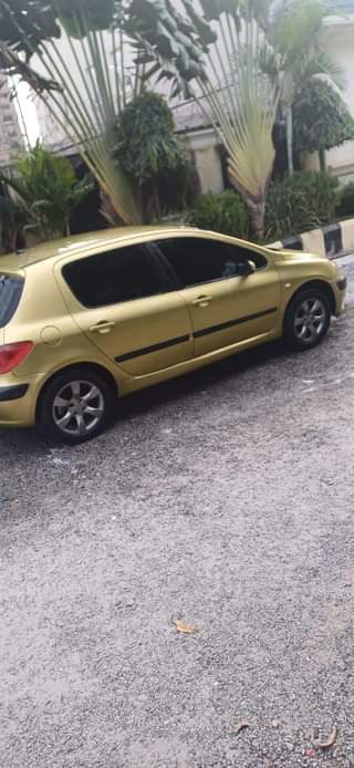 A picture of Peugeot 307