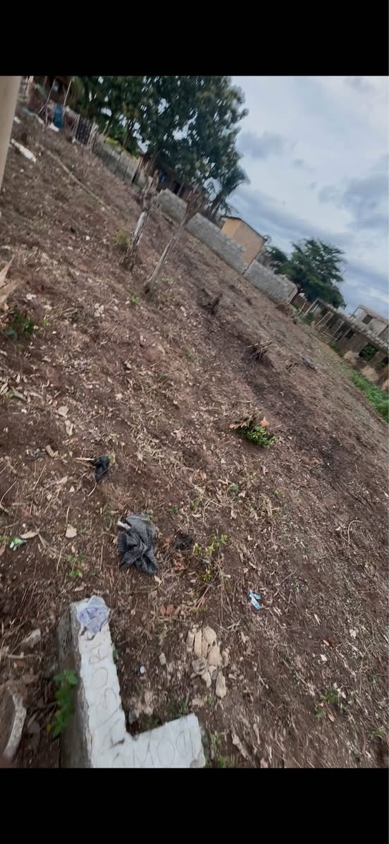 A picture of Half plot of land at imota