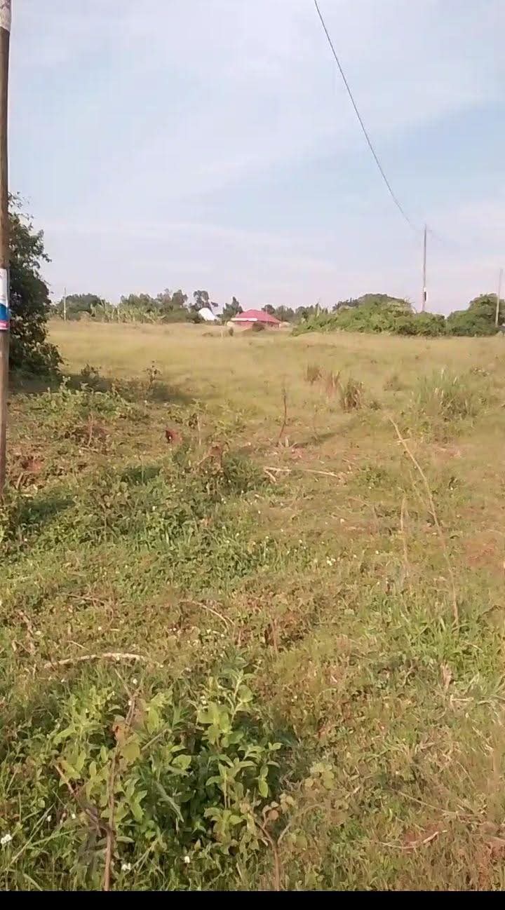 A picture of Plots of land for sale