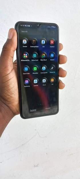 A picture of Samsung F13