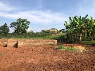 A picture of A PLOT OF LAND FOR SALE 100x50 ft WITH A