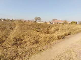 stands