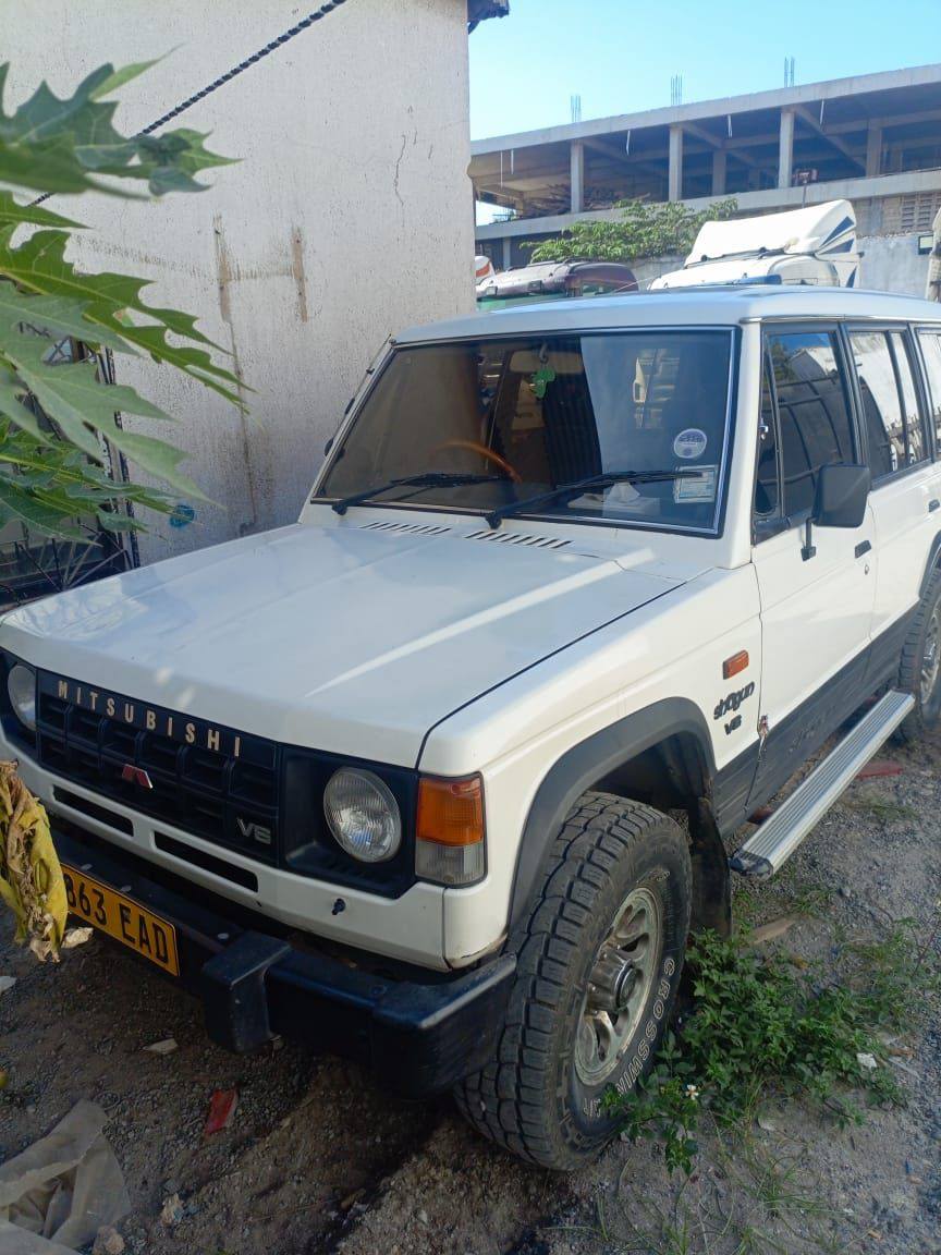 A picture of Mitsubishi Pajero