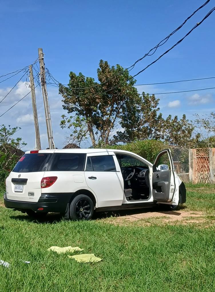 nissan ad wagon
