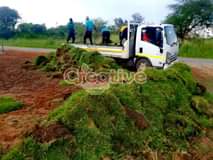 landscaping ssrvices