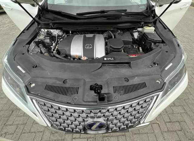A picture of 8month registered 2019 Rx350 fullest option Complete first body pan