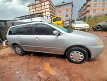 Kiptoo P.