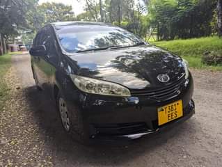 A picture of Toyota wish