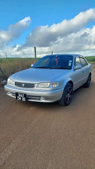 used toyota corolla