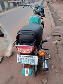 A picture of Used boxer for sell