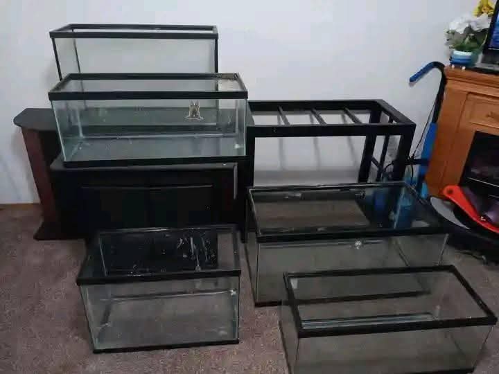 tanks