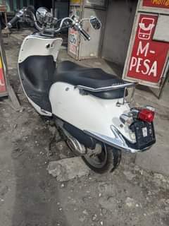 A picture of Scooter