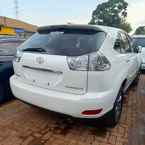 A picture of Kawundo