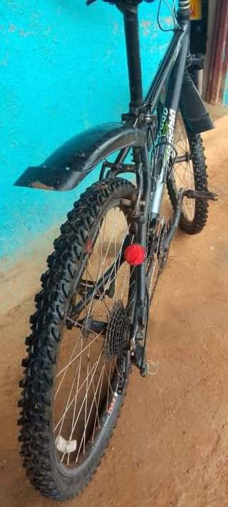 motorbikes