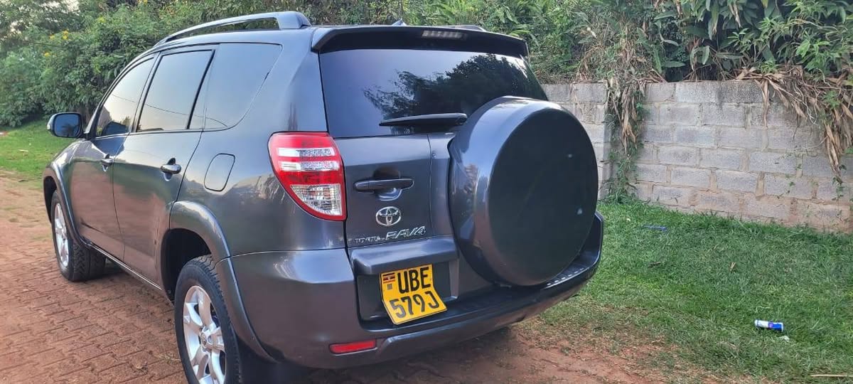 A picture of Rav4