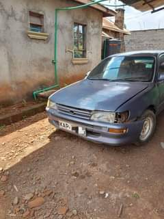 Wambugu J.