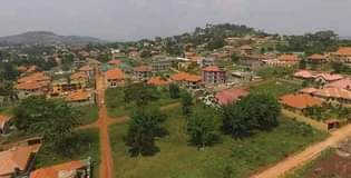 Lwanga P.