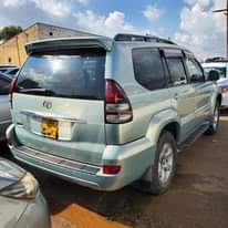 A picture of TX 2007 60M