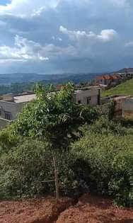 A picture of ENTEBBE ROAD PLOTS BE PART OF EXECUTIVE ENVIRONMENT LIMITED PLOTS