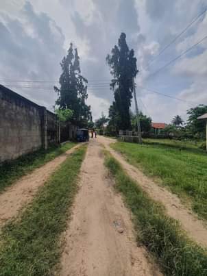 kiwanja