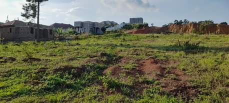 A picture of Cheap plots