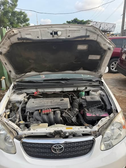 A picture of Registered 2006 Toyota Corolla