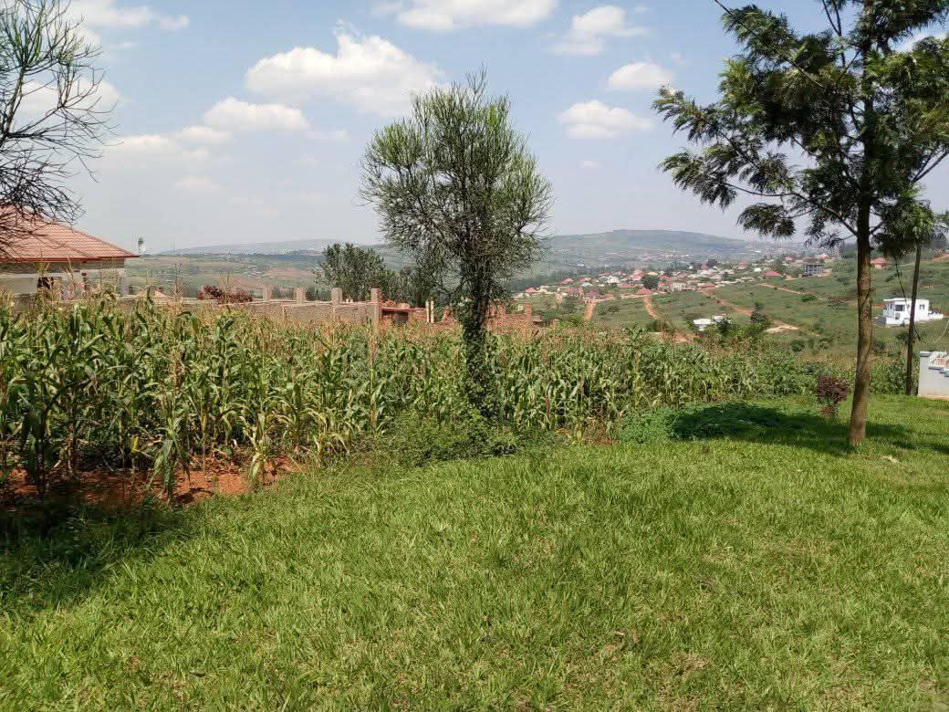 land