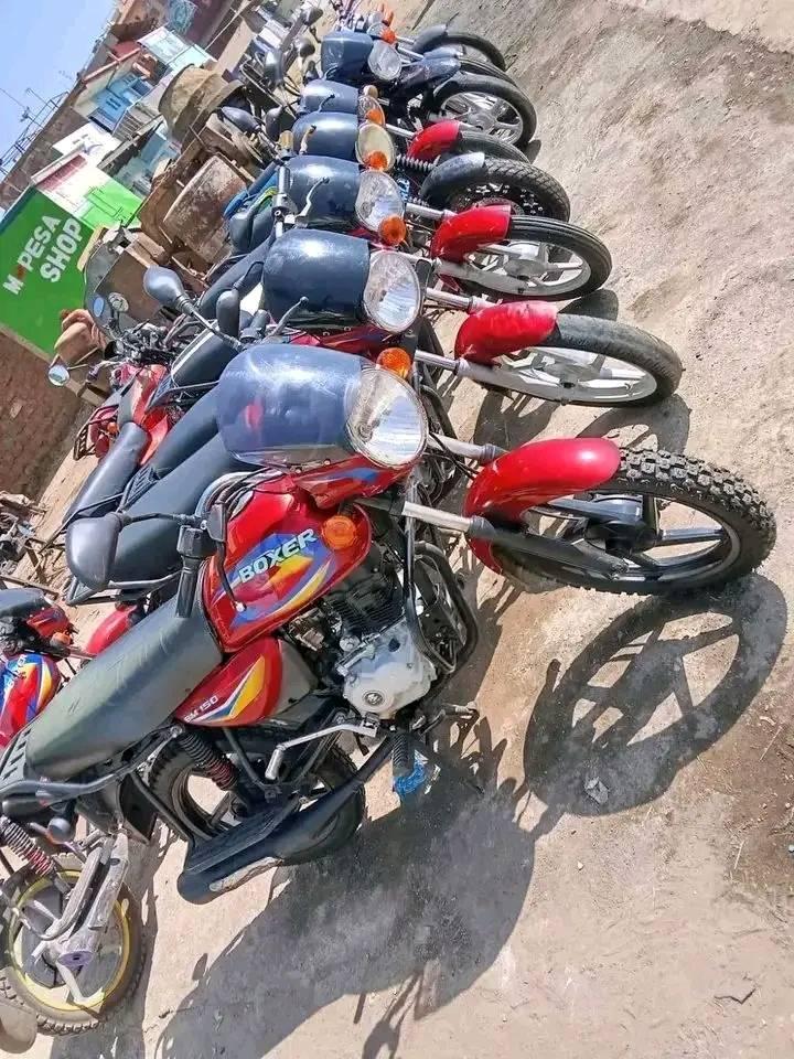 lipa mdogo mdogo