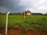 A picture of KAKIRI KIKANDWA ESTATE 50BY100 WITH READY LAND TITLE AT 10M