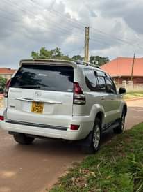A picture of TX 2006 65M