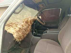 A picture of Toyota Supercustom 18m negotiable Contact 0757086847 0788329611