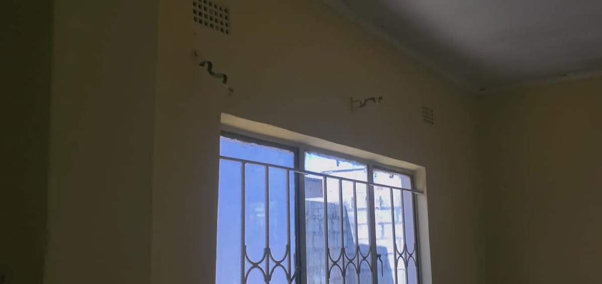houses for rent