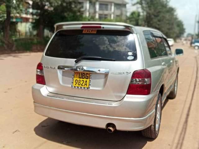 A picture of Kruger on sale 35m