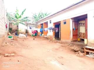 A picture of 4 single rooms for sale just after bulenga 2 km