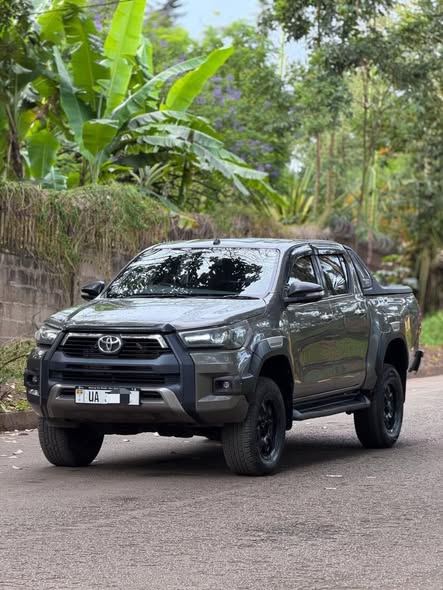 A picture of Toyota flieder 2009